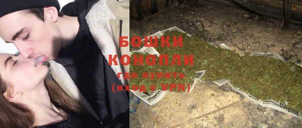 индика Уссурийск