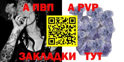 дмт Кудрово
