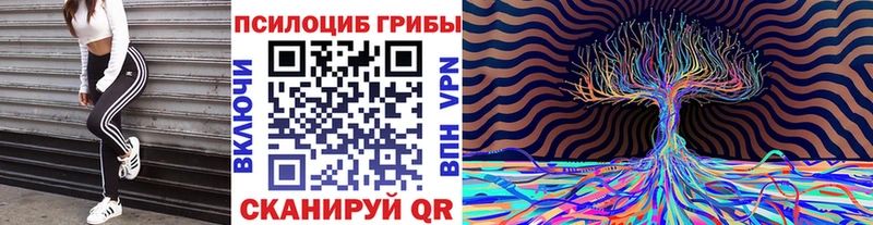площадка состав  Саратов  Псилоцибиновые грибы MAGIC MUSHROOMS 