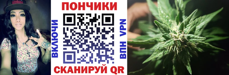 Канабис план Саратов