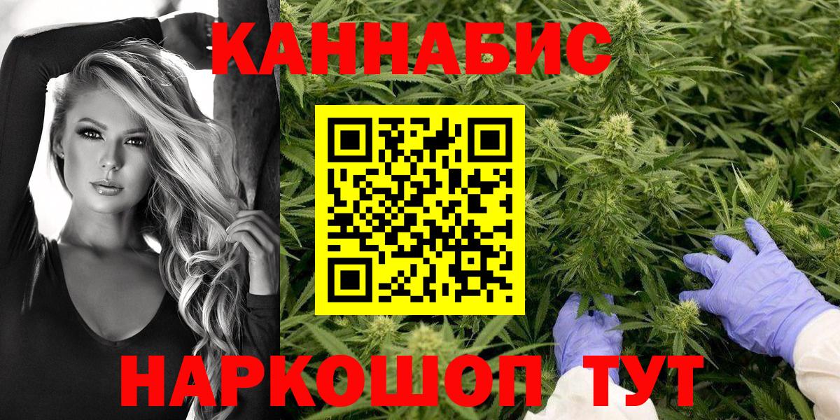 Конопля гибрид Саратов